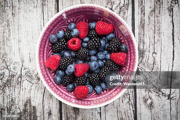 bowl of different wild berries on wood - berry fruit stock-fotos und bilder