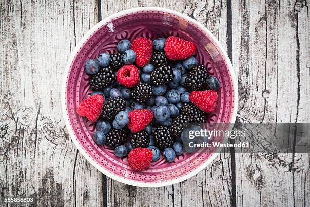 bowl of different wild berries on wood - berry fruit foto e immagini stock