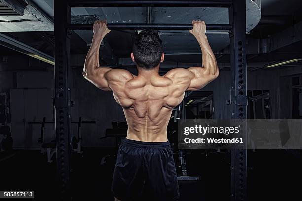 physical athlete doing chin-ups - bodybuilding chart photos et images de collection