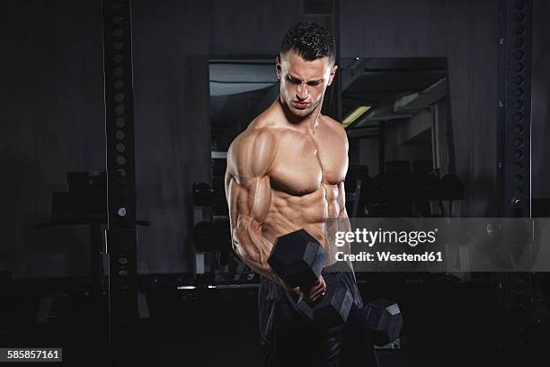 physical athlete exercising with dumbbells - man biceps stock pictures, royalty-free photos & images