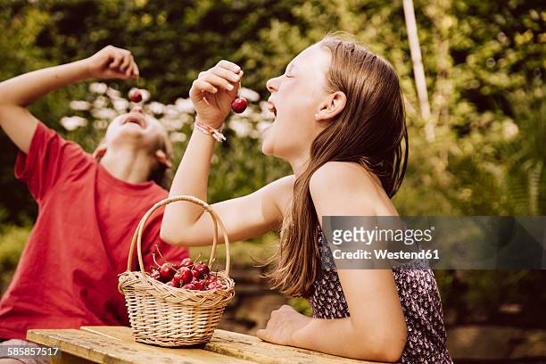 girl and boy enjoying cherries in garden - berry fruit fotografías e imágenes de stock
