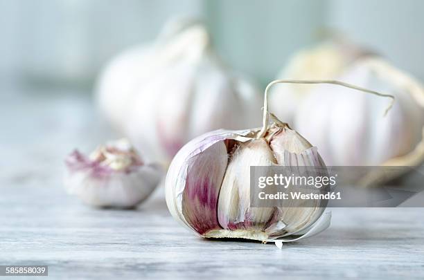 garlic bulb - garlic stock-fotos und bilder