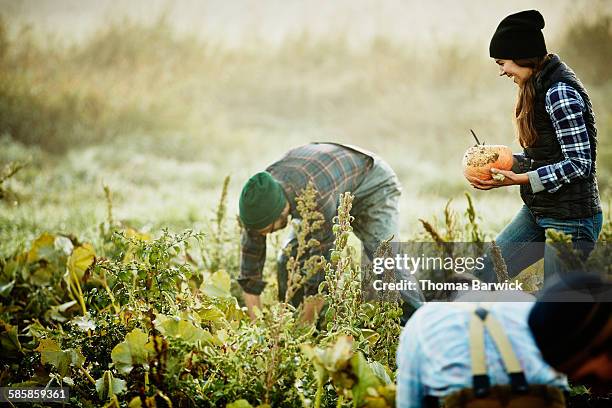 Farmhelper Picture Farmer Help Photos and Premium High Res Pictures - Getty Images