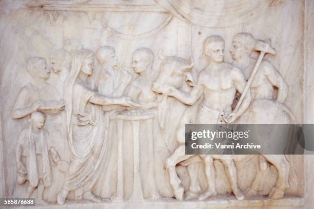 temple of vespasian: marble altar bas-relief depicting sacrificial scene - templo de vespasiano imagens e fotografias de stock
