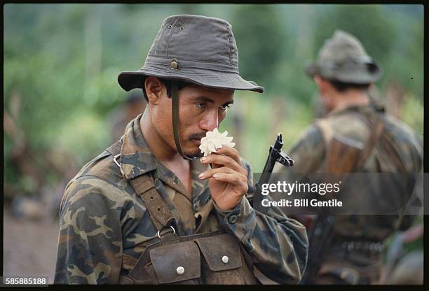 Flower Rifle Flower In Rifle Photos and Premium High Res Pictures - Getty Images
