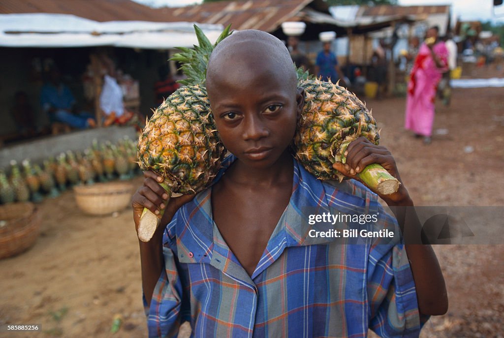Sierra Leonian Boy Carrying Pineapples