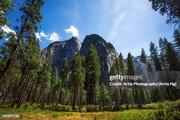 Mafera Park StockFotos und Bilder Getty Images