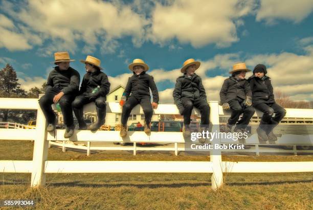 amish children watching horse auction - amish straw hat stock pictures, royalty-free photos & images