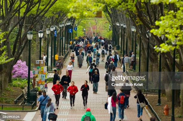 college students at university of pennsylvania - penn stock pictures, royalty-free photos & images