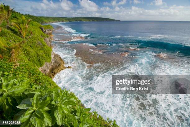 coastline of niue - niue island stockfoto's en -beelden