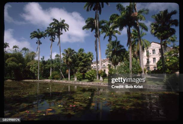lily pond at codrington college - ornamental pool stock pictures, royalty-free photos & images