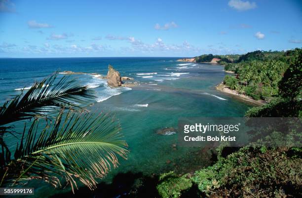 atlantic coast of dominica - dominica stock pictures, royalty-free photos & images
