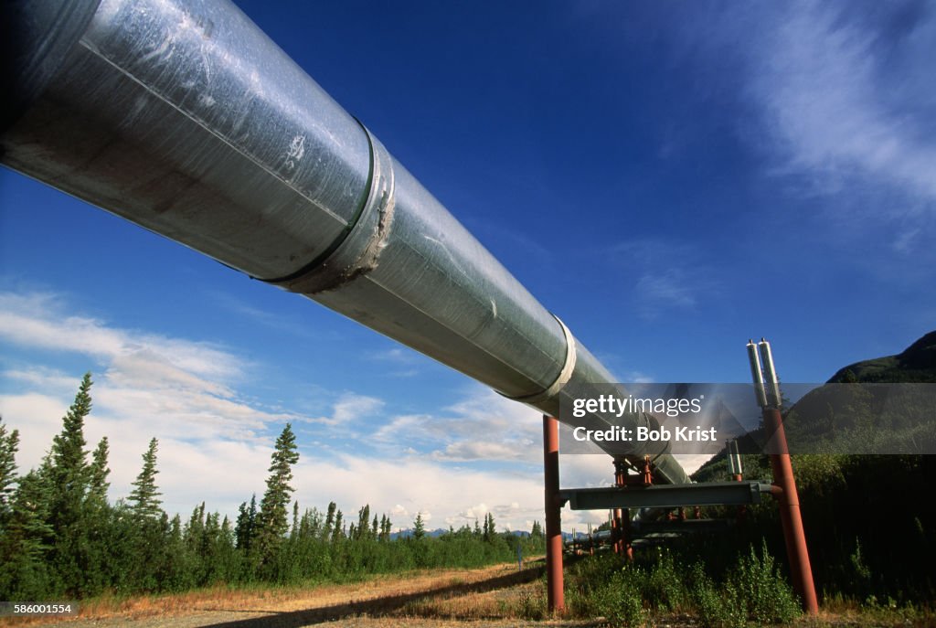 Alaska Oil Pipeline Near Richardson Highway