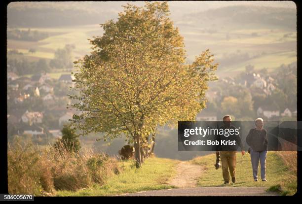 sunset stroll above rhine river - rheingau stockfoto's en -beelden