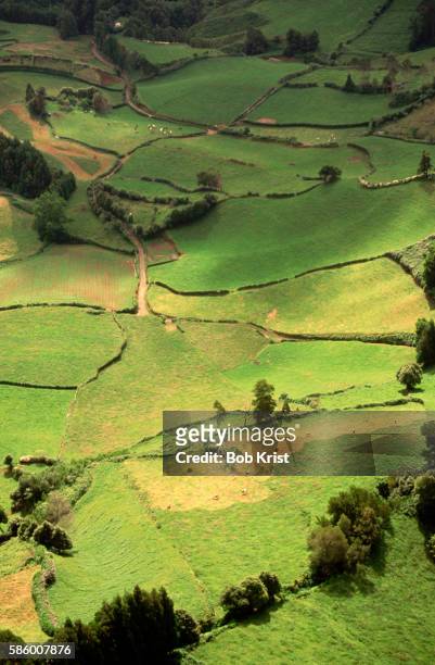 fields in furnas valley - furnas valley stock pictures, royalty-free photos & images