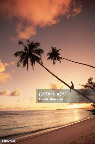 sunset in western samoa - samoa stock pictures, royalty-free photos & images