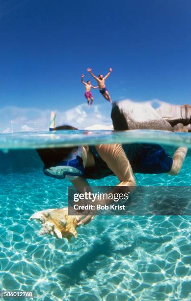 snorkeler examining a seashell - snorkel stockfoto's en -beelden