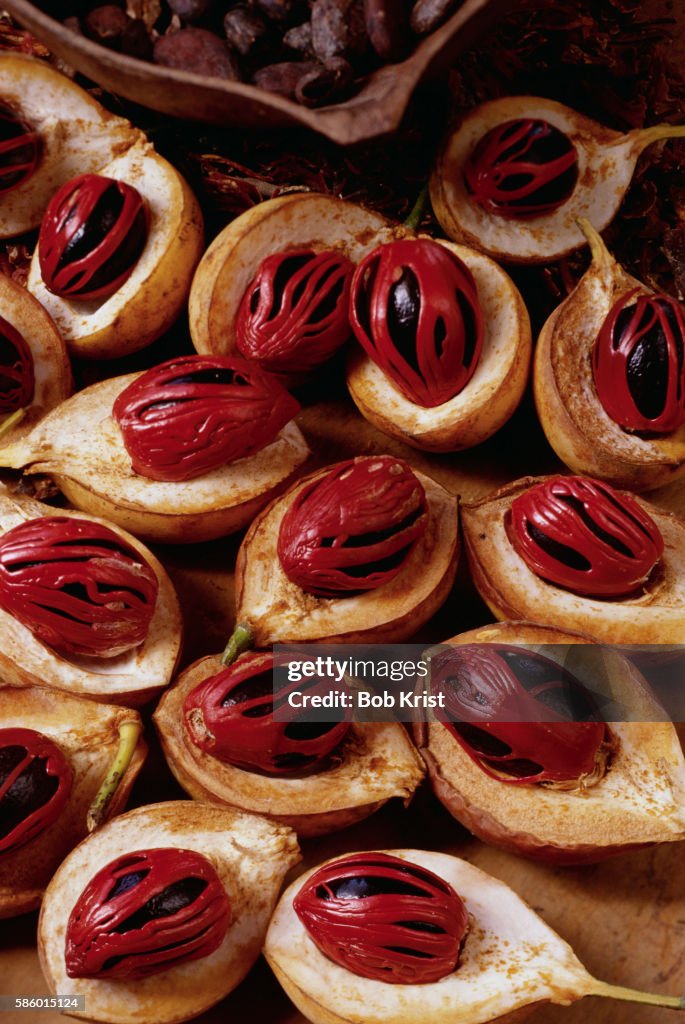 Nutmeg Fruits and Seeds