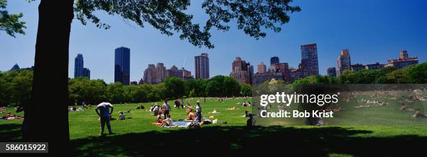 sunbathing in central park - sheep meadow central park stock pictures, royalty-free photos & images