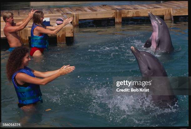 Animal Clapping 1,701 Animal Clapping Stock Photos, High-Res Pictures, and Images ...