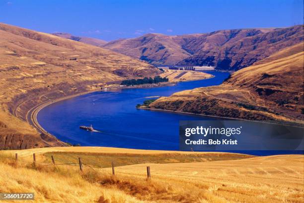 snake river and lower granite dam - river snake stock pictures, royalty-free photos & images