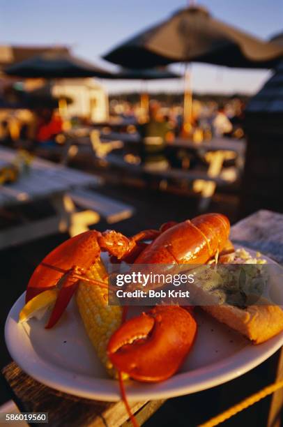 maine lobster dinner - maine stock pictures, royalty-free photos & images