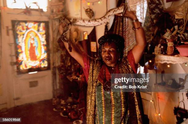 priestess miriam holding snake - magia fotografías e imágenes de stock