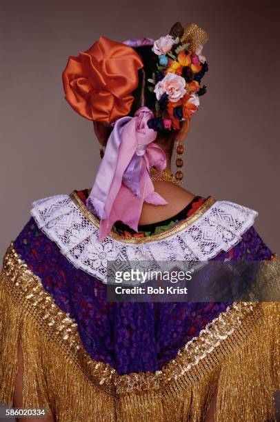 woman in traditional party dress - oaxaca foto e immagini stock