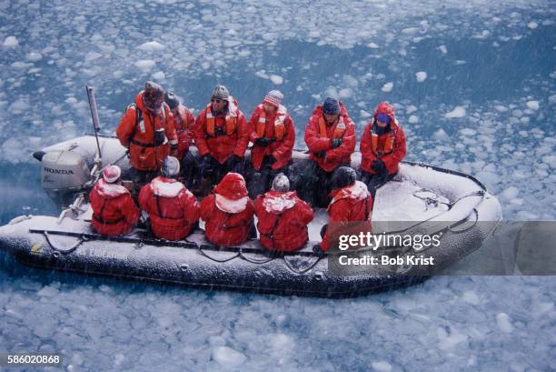 zodiac boat tour near elephant island - elephant island south shetland islands stock-fotos und bilder