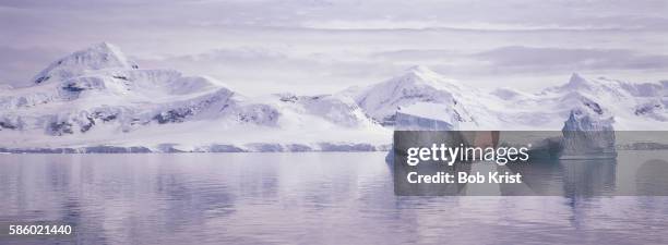 pack ice on brabant island - bloco de gelo flutuante - fotografias e filmes do acervo