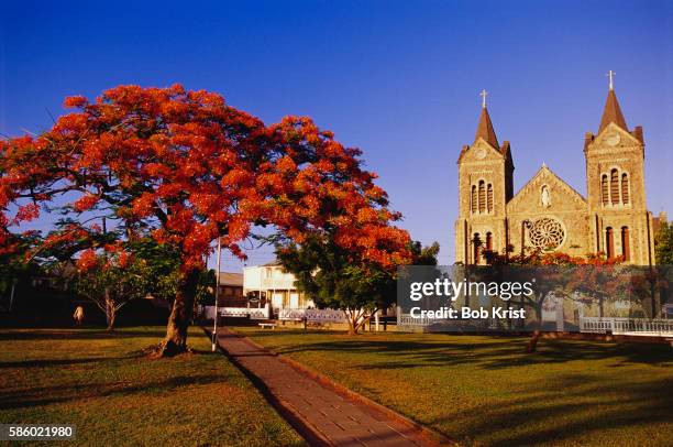 independence square near basseterre cathedral - saint kitts stockfoto's en -beelden