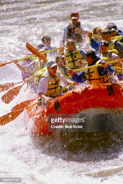 whitewater rafting on snake river - river snake stock pictures, royalty-free photos & images