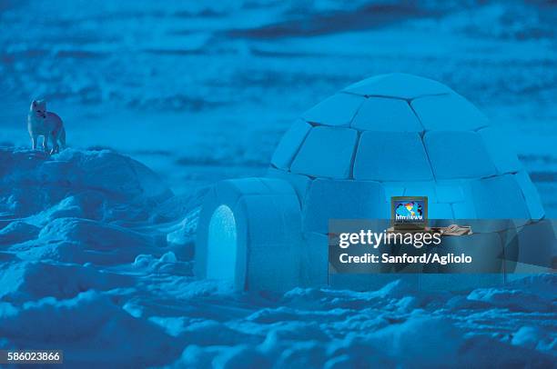 survival basics in modern igloo - igloo isolated stock pictures, royalty-free photos & images