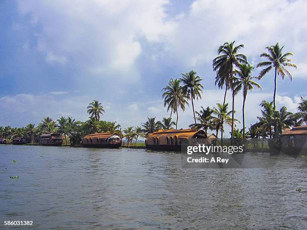 houseboats on the backwaters - laguna de kerala - fotografias e filmes do acervo