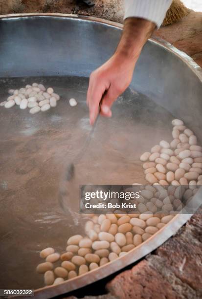 silkworm cocoons being prepared - silkworm cocoon stock pictures, royalty-free photos & images