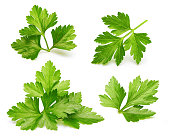 Parsley herb isolated