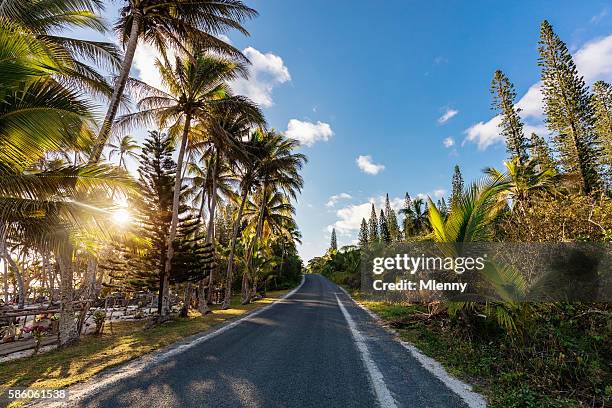 island country road in den sonnenuntergang von neukaledonien - neuschottland stock-fotos und bilder