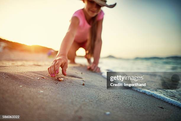 niña recogiendo conchas de mar en la playa - concha parte del cuerpo animal fotografías e imágenes de stock