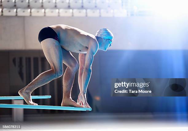 male swimmer about to dive off board - trampolino piscina foto e immagini stock