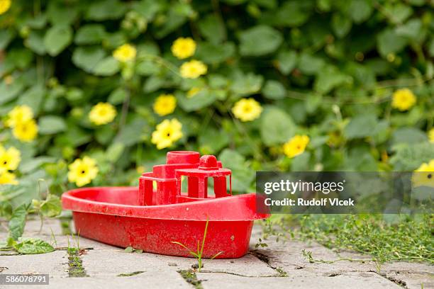 red plastic toy boat - black eyed susan vine stock pictures, royalty-free photos & images