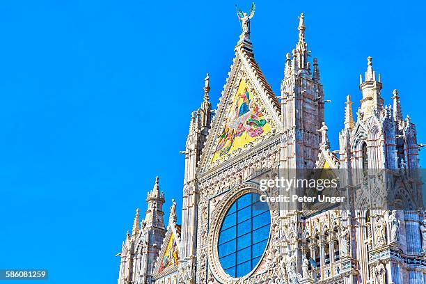 siena cathedral, siena, italy - cathedral ストックフォトと画像