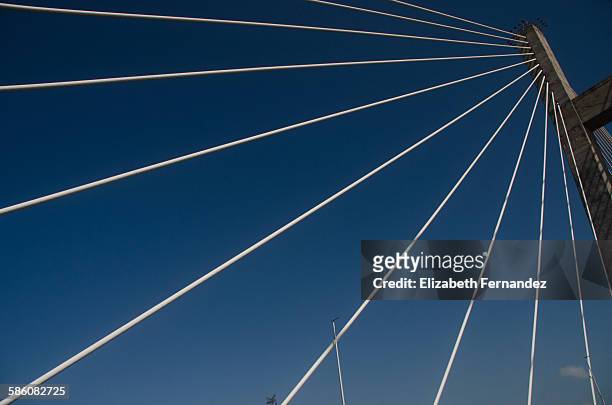 orinoquia bridge over blue sky - cable stayed bridge stock-fotos und bilder