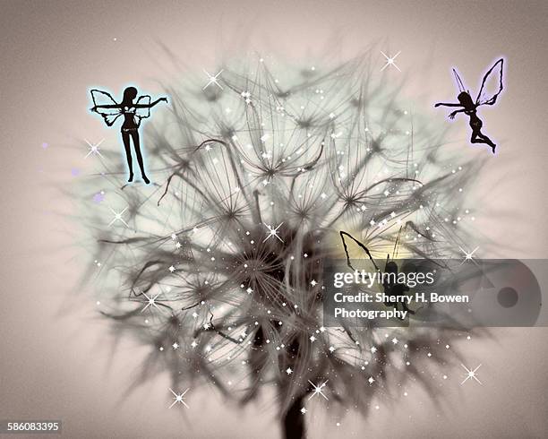 dandelion with colored fairies - small changes stock illustrations