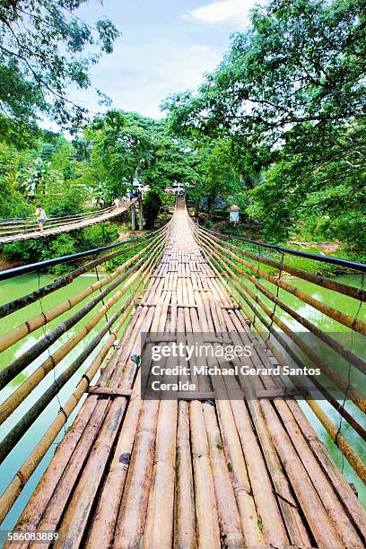 bamboo bridge at bohol - bohol stockfoto's en -beelden