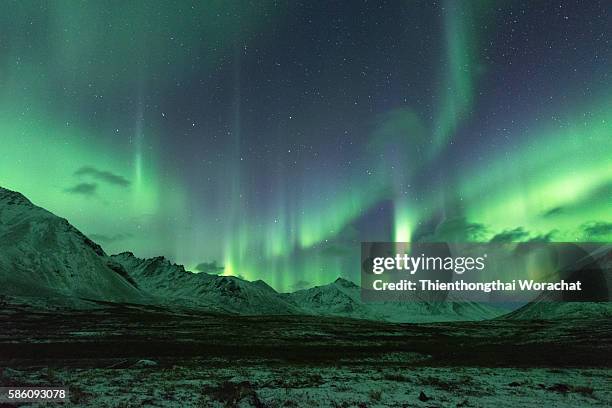 aurora borealis canada - yukon stock pictures, royalty-free photos & images