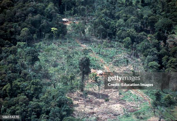Problems Inn Costa Rica Environmental Issues In Costa Rica Photos and Premium High Res Pictures ...