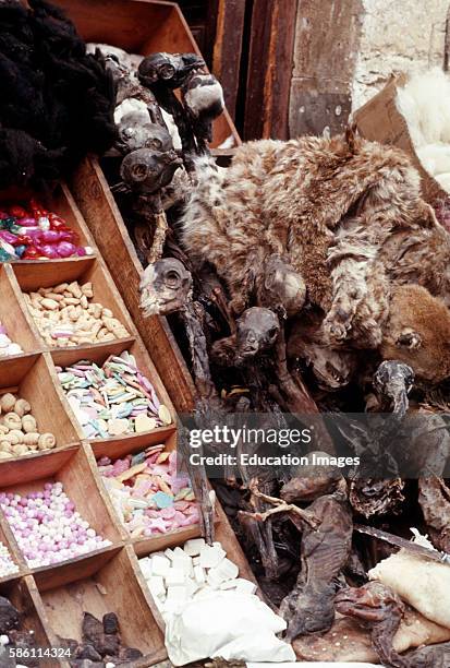 Llama fetuses Witch's Market. La Paz Lama glama.