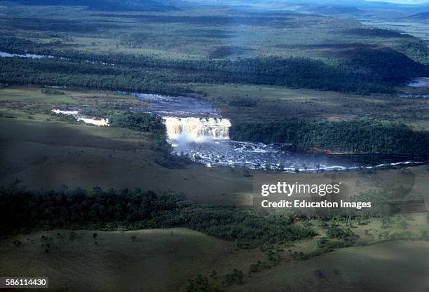 Gallery Forest and Savannah - Venezuela gallery forest grows along the margins of a river or stream.