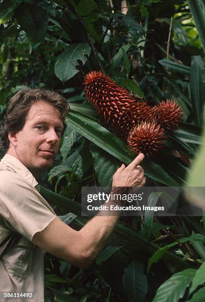 Giant bromeliad and Arnold Newman. Cano Island, Costa Rica, (1988 Achmea magdalenae.