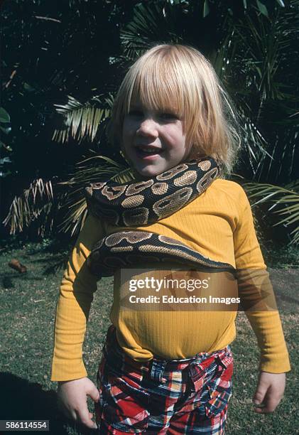 Gandhi and Ball Python. Sherman Oaks, California Python regius.